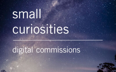 Small Curiosities 2023 – All Projects