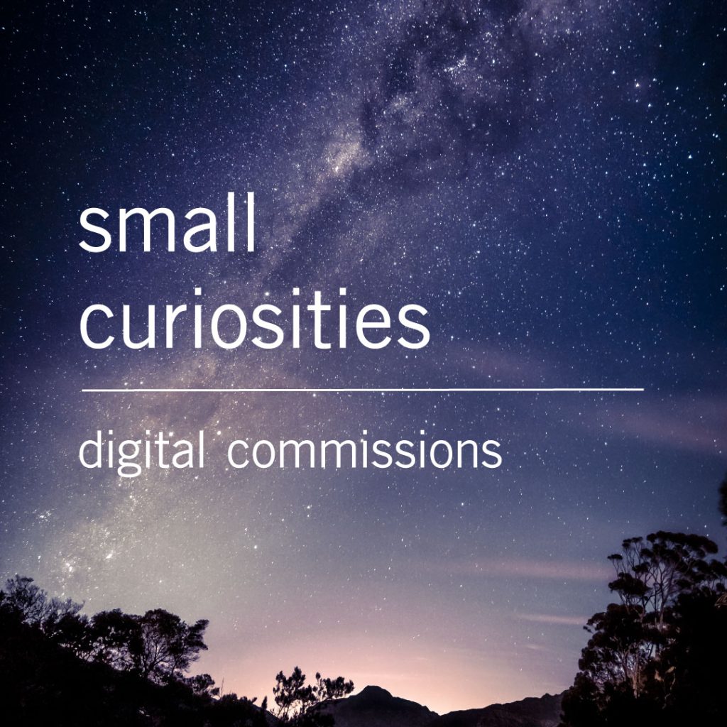 SmallCuriosities Dreaming In Color